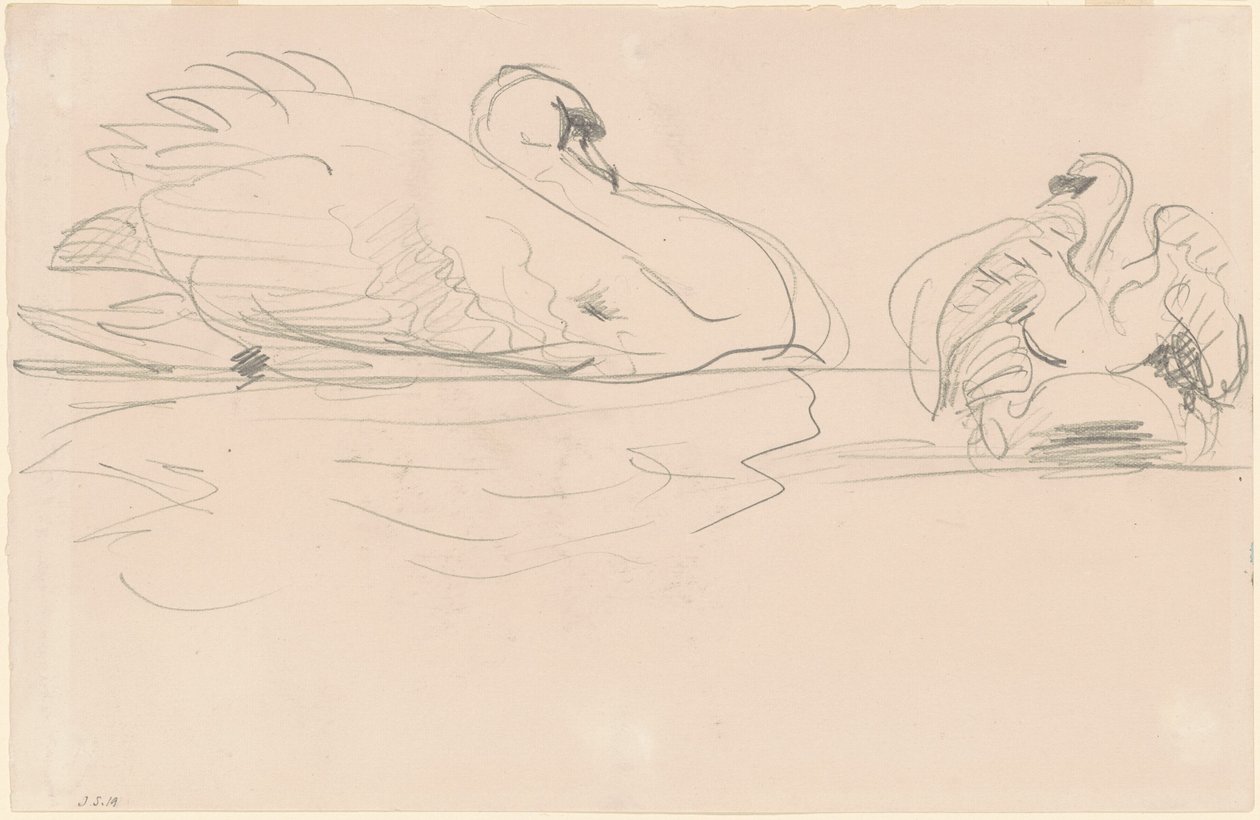 Cisnes na água de John Singer Sargent