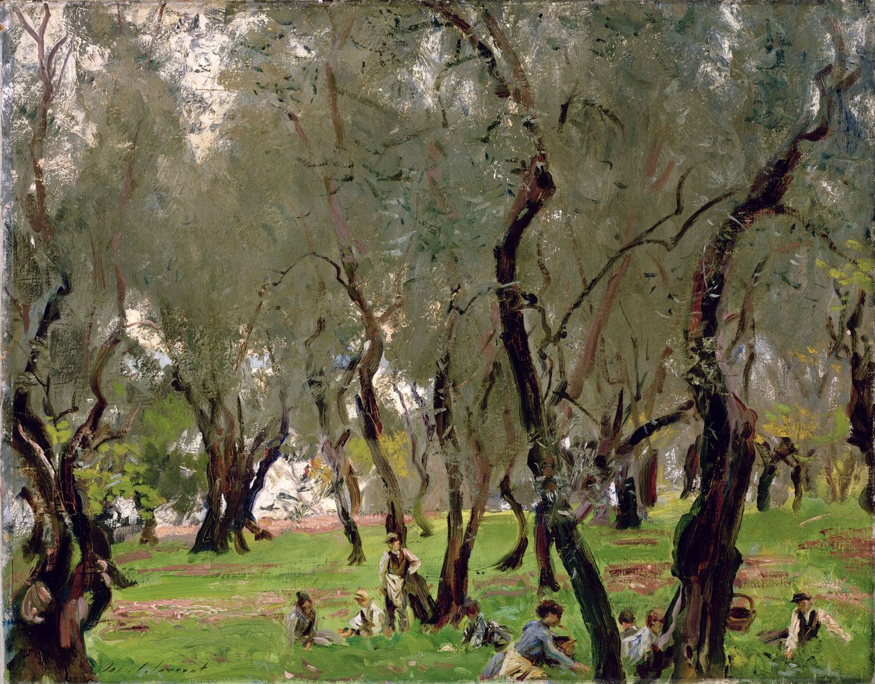 O olival, c.1910 (azeite sobre tela) de John Singer Sargent
