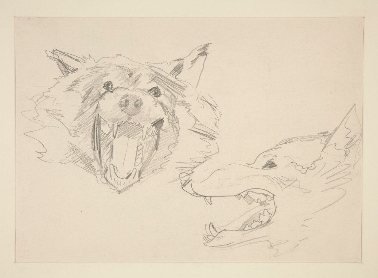Duas visões de um lobo de John Singer Sargent
