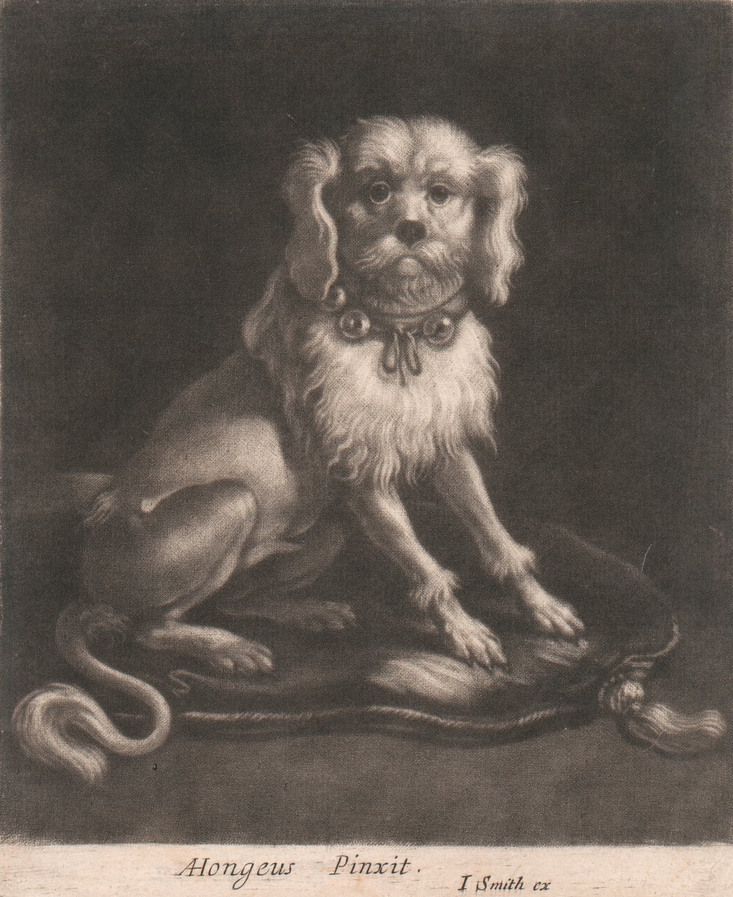 Um cão pequeno, usando uma coleira com sinos. de John Smith