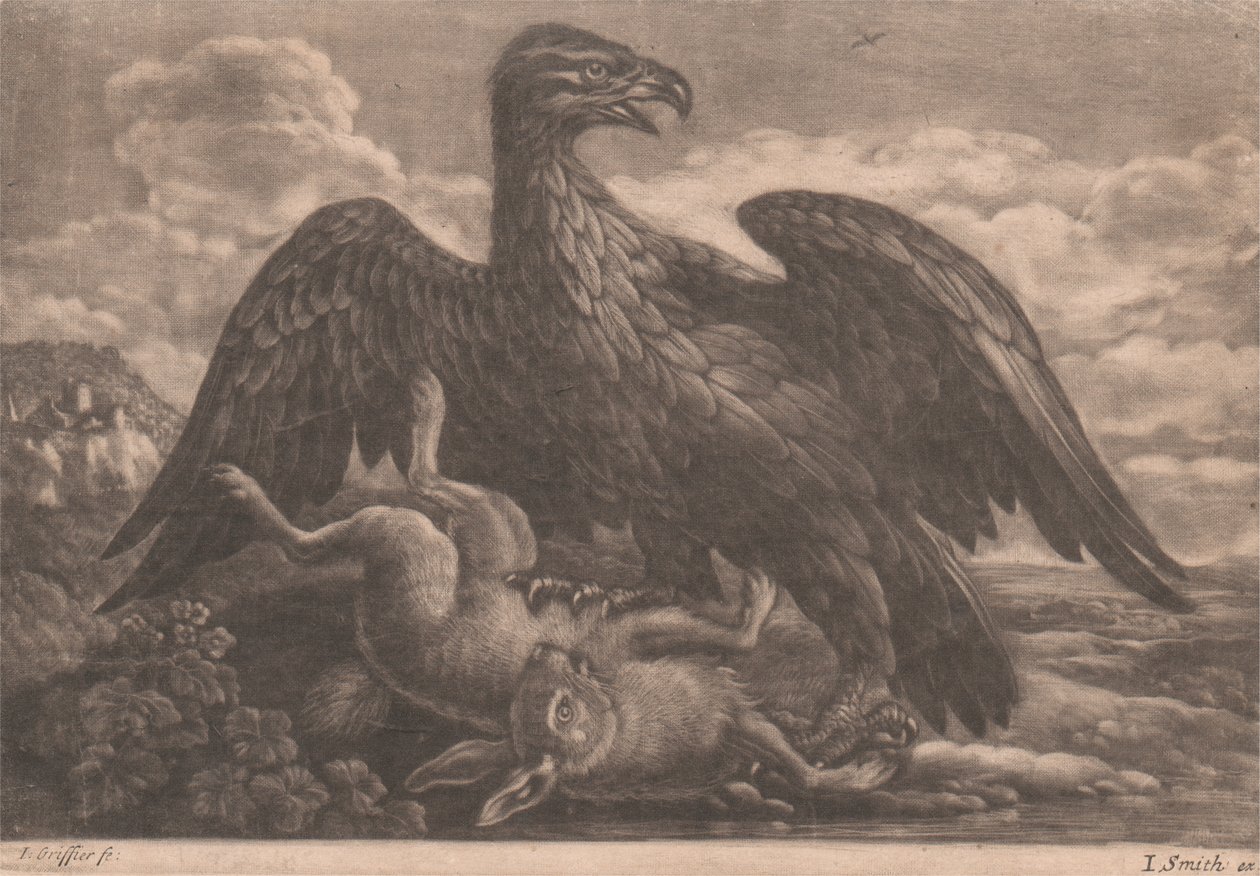 Águia e Lebre de John Smith