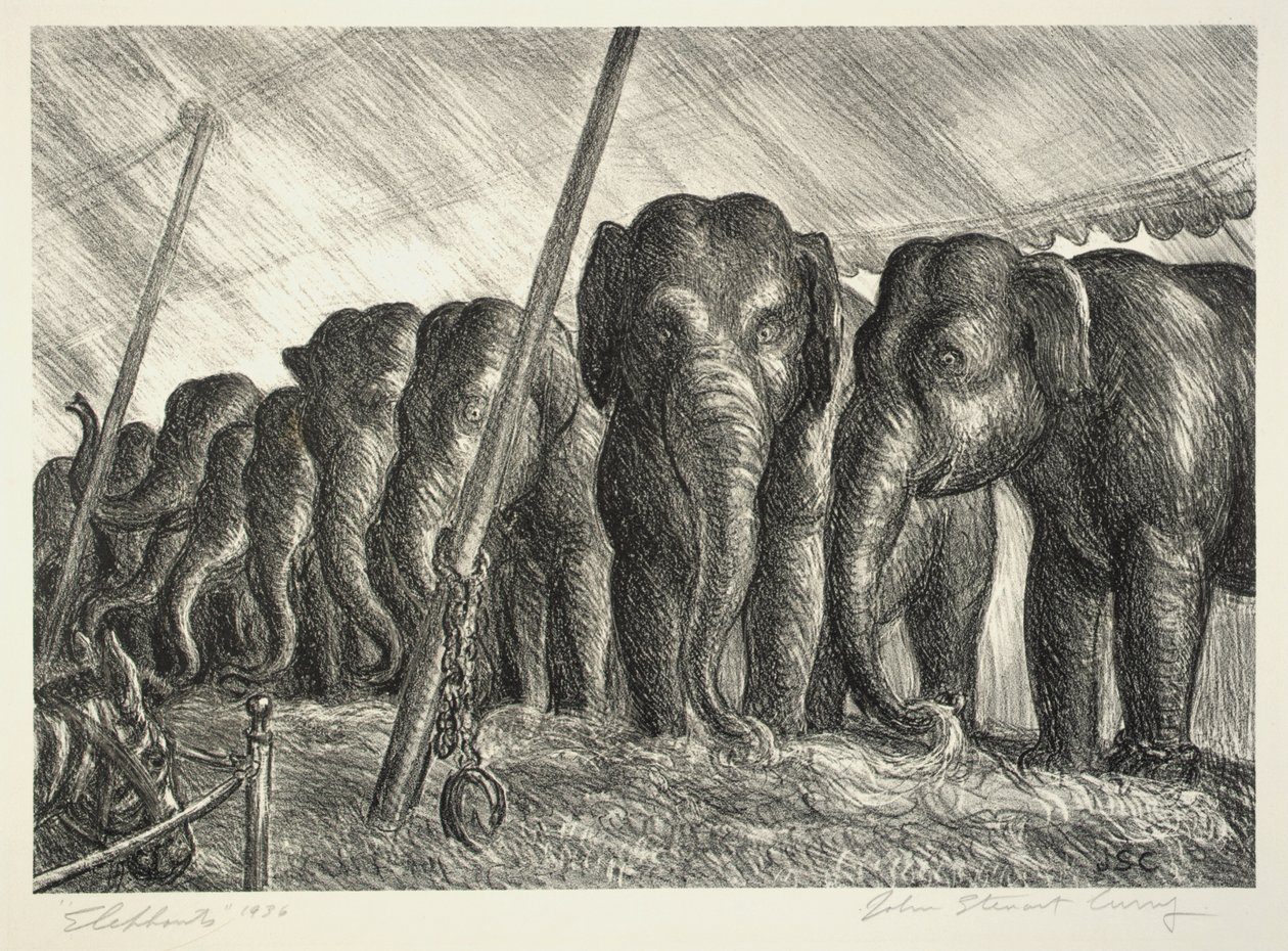 Circo de elefantes de John Steuart Curry