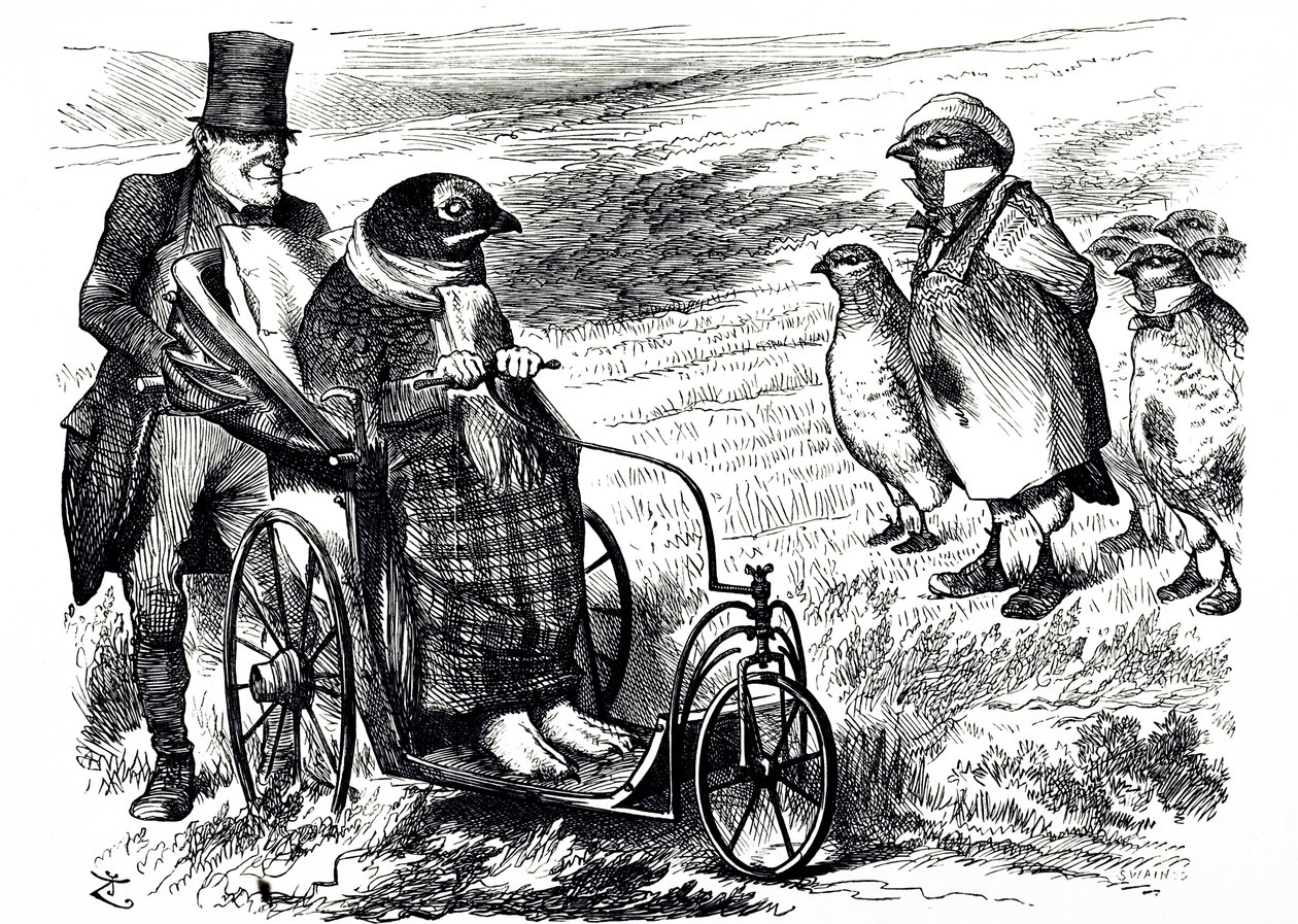Um desenho animado comentando a suspensão do Grouse Shooting para permitir a reconstituição das ações. Ilustrado por John Tenniel (1820-1914) um ilustrador inglês, humorista gráfico e caricaturista político. de John Tenniel