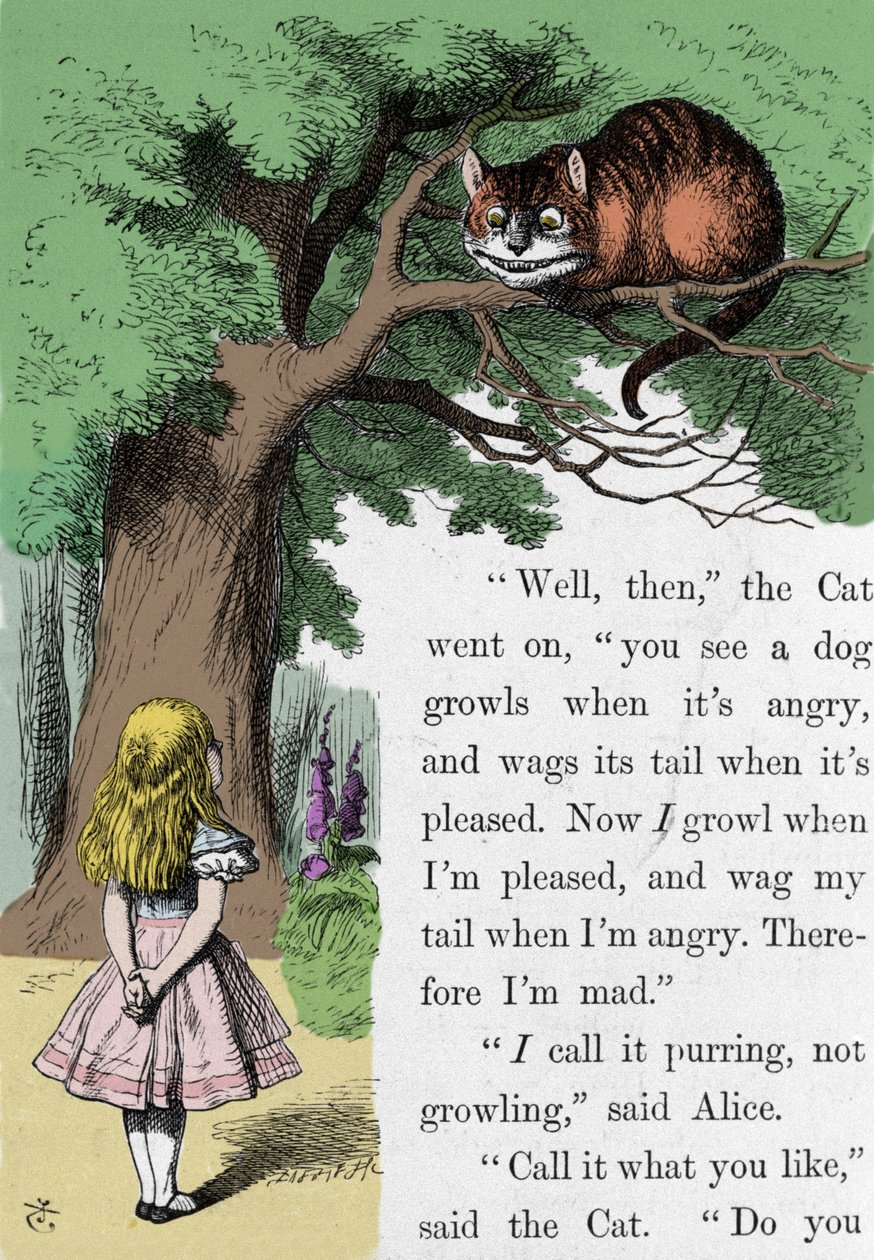 Alice e o Gato, ilustração de Sir John Tenniel para a primeira edição de Alice no País das Maravilhas pelo escritor inglês Lewis Carroll (Charles Lutwidge Dodgson) (1832-1898). de John Tenniel