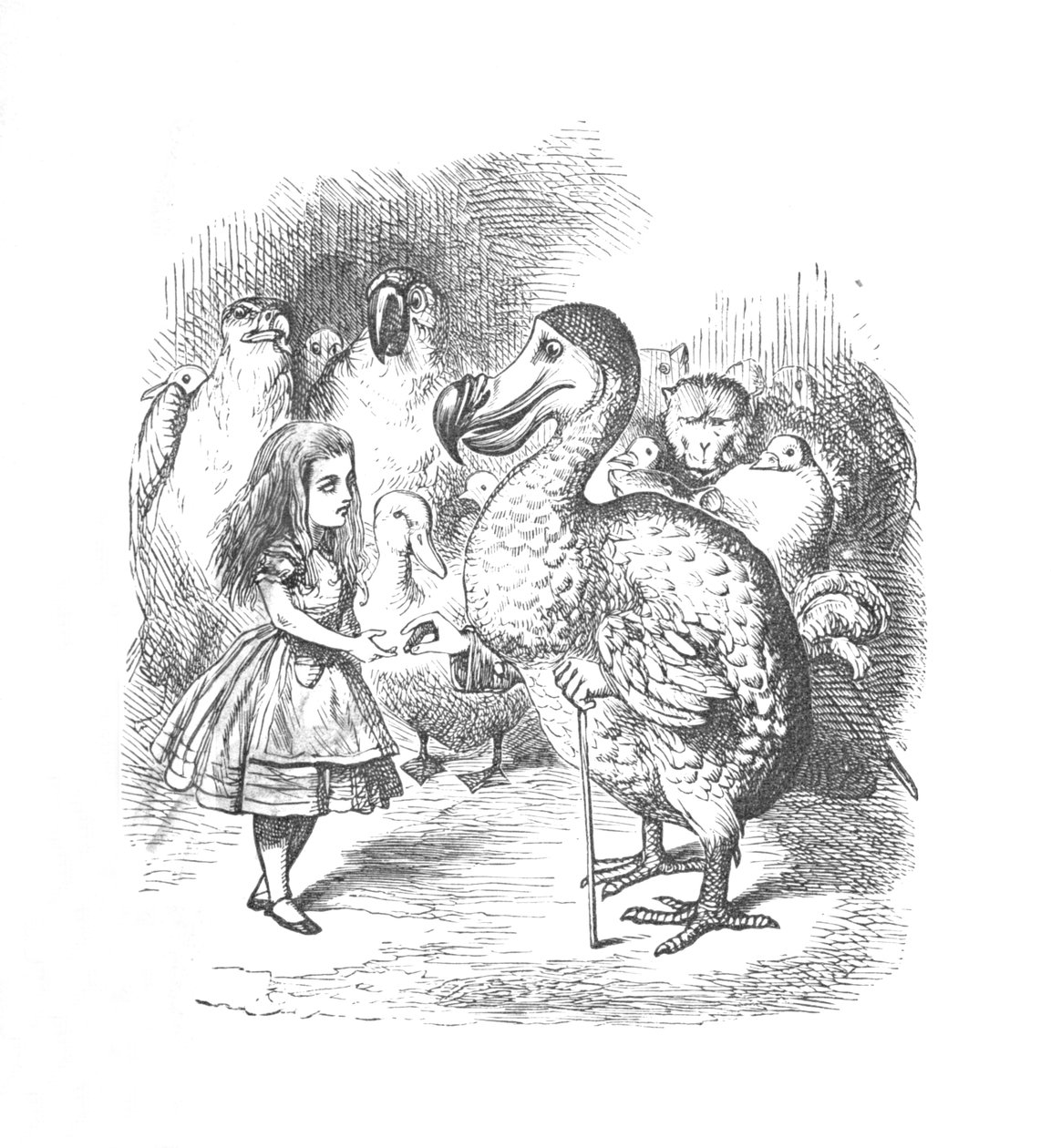 Alice e o Dodo, 1889 de John Tenniel