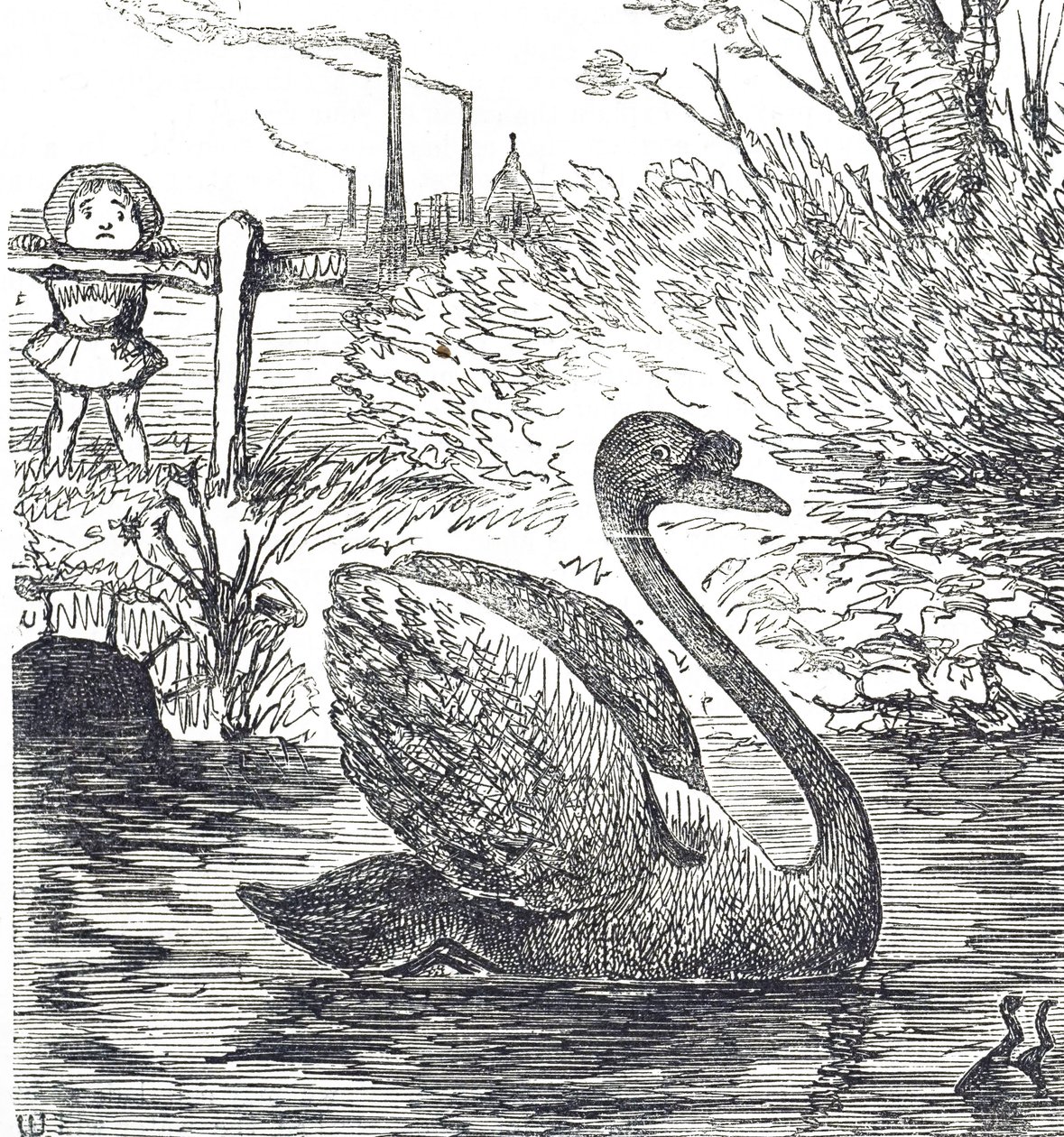 Comentário cartoon sobre a poluição do Tamisa em Londres de John Tenniel