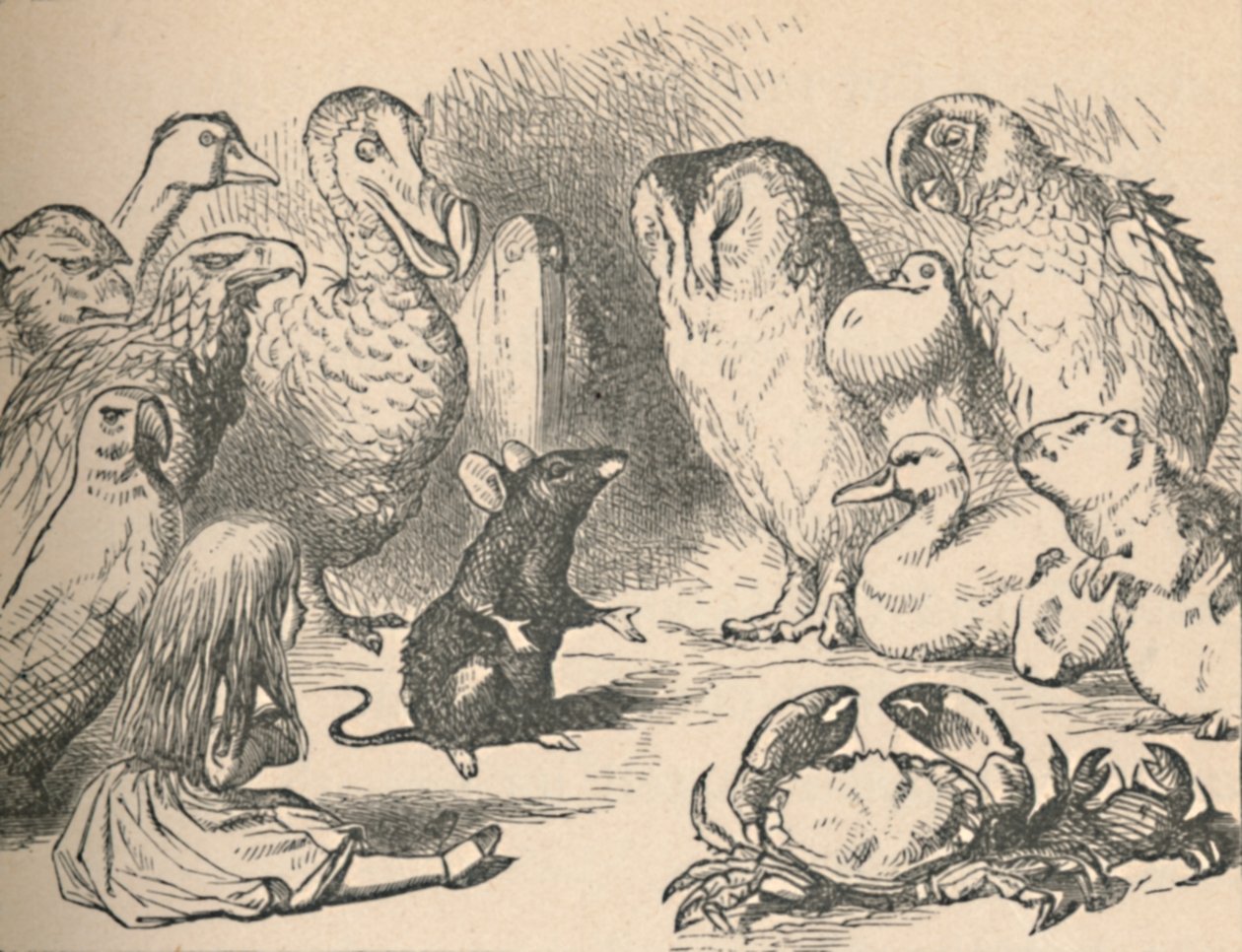 Ilustração do capítulo Caucus-Race e cauda longa. Alice e várias criaturas, como de John Tenniel