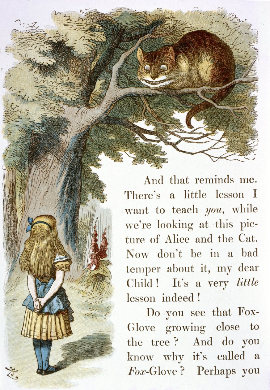 O gato Cheshire de John Tenniel