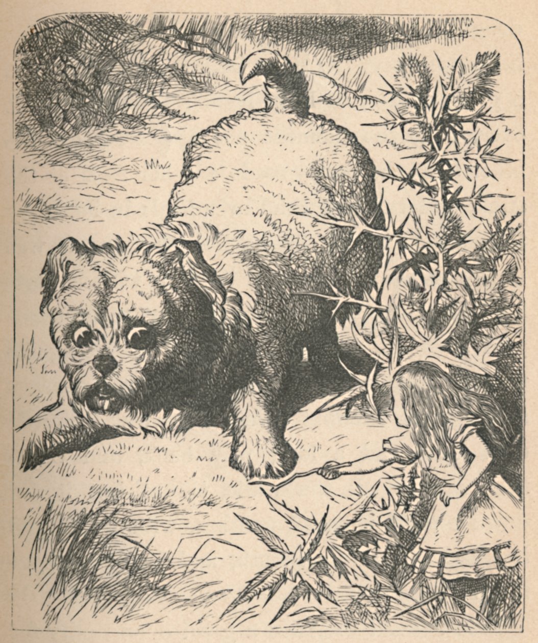 O filhote de cachorro gigante, 1889 de John Tenniel