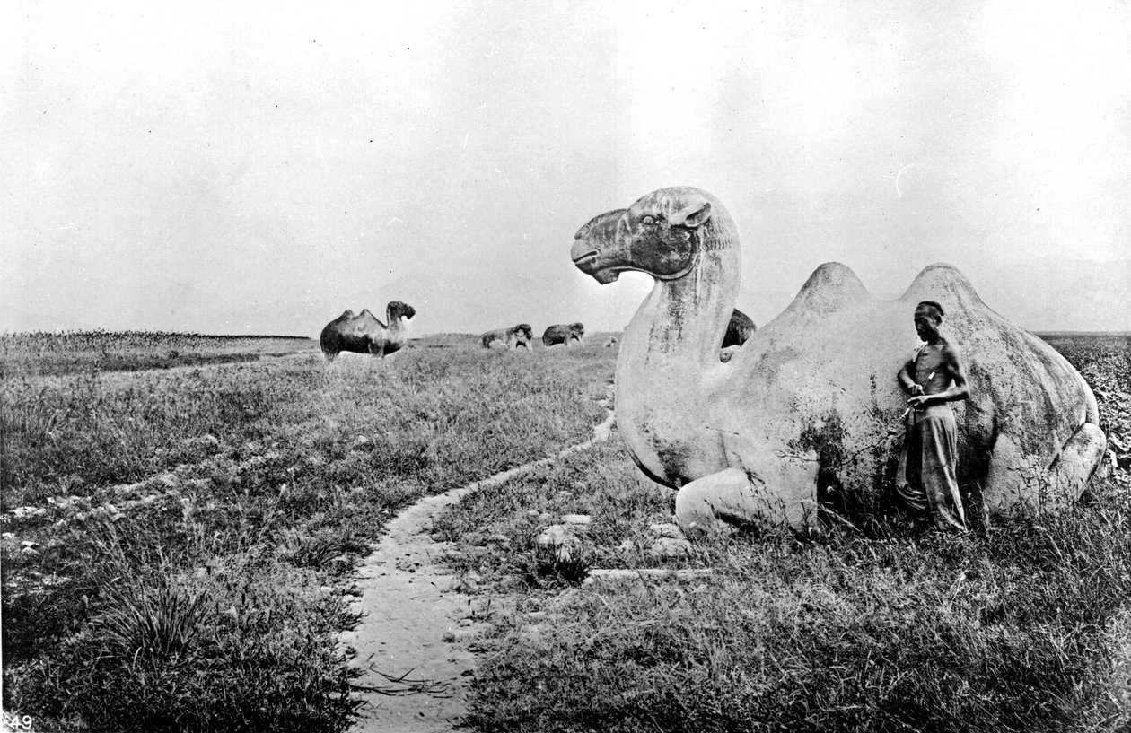 China, camelos esculpidos da Via Imperial, c.1870 (foto) de John Thomson