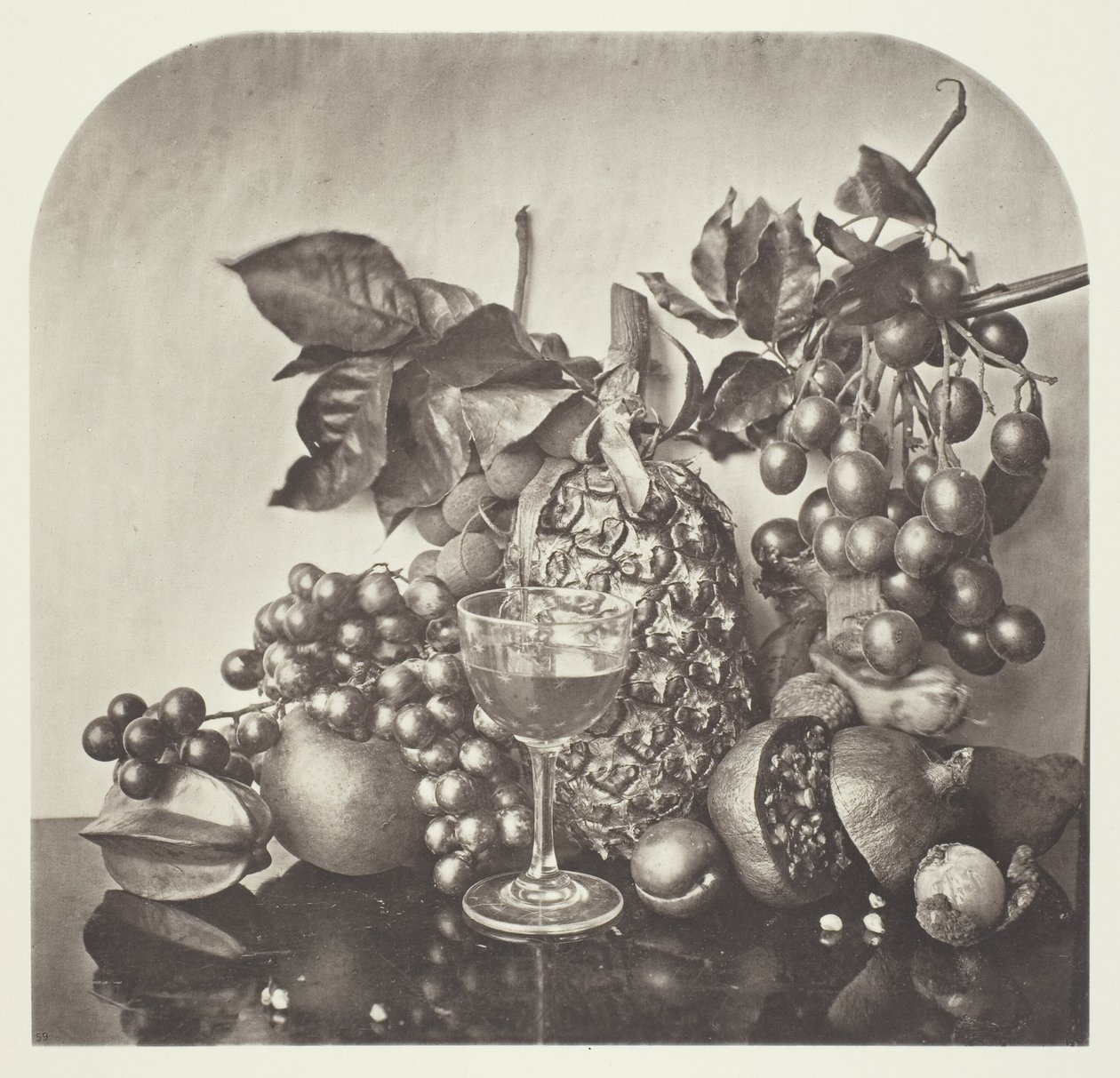Fruta de John Thomson