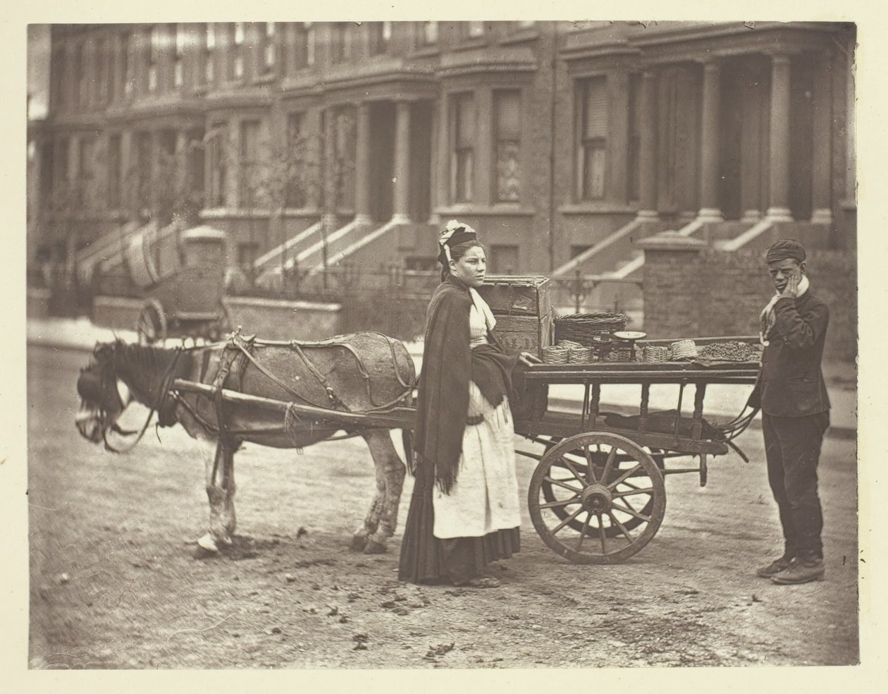 Morangos. Todos maduros! All Ripe!, 1881. de John Thomson