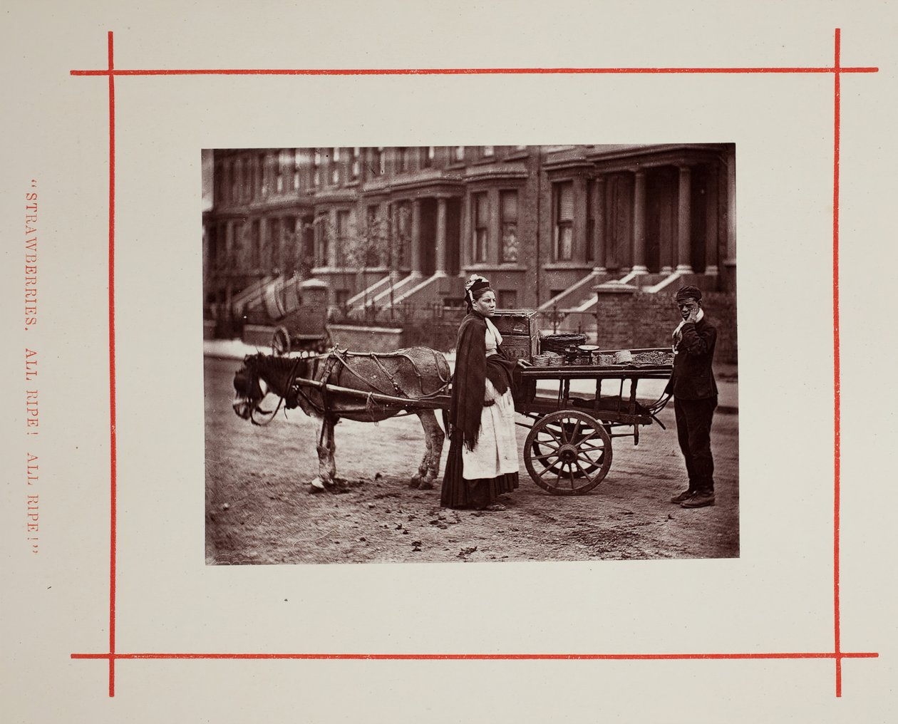 Morangos. Tudo maduro! Tudo maduro!, 1877. de John Thomson