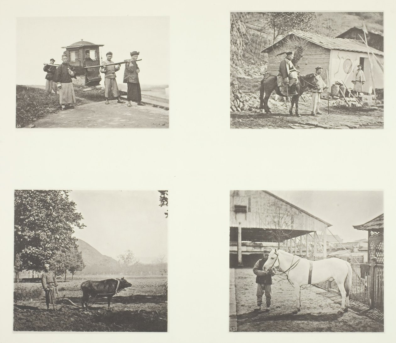 The Sedan, A Military Officer, The Plough, A North China Pony, c. 1868. de John Thomson