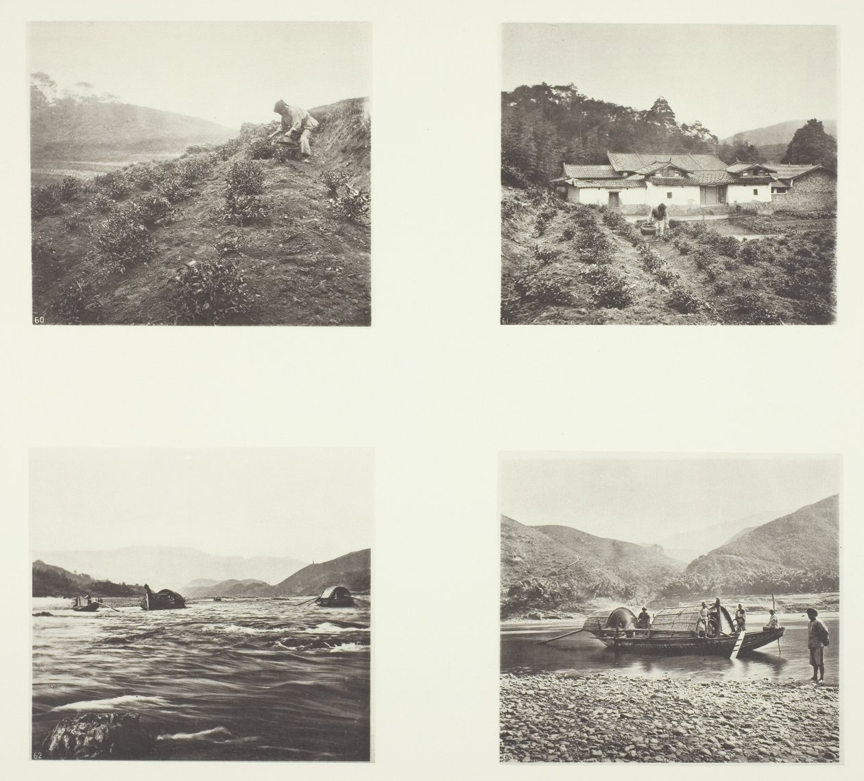 A Fábrica de Chá; A Fábrica de Chá; Os rápidos de Yenping; Um pequeno barco rápido de John Thomson