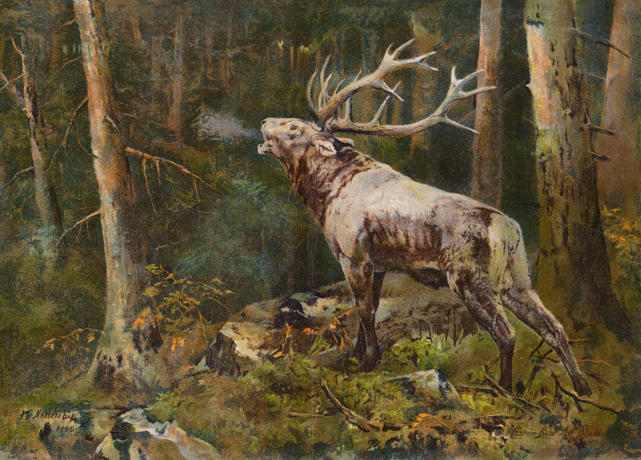  de John Trivett Nettleship