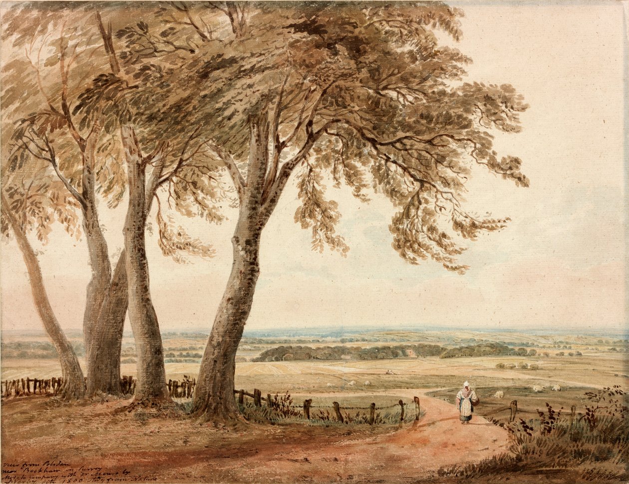 Vista de Polsden perto de Bookham em Surrey de John Varley