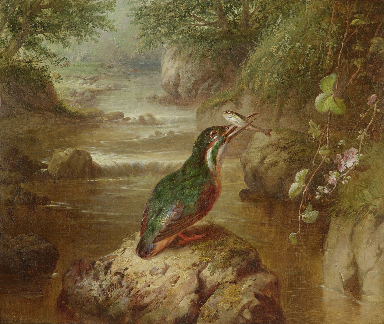 O Assombrar do Martim-pescador de John Wainwright