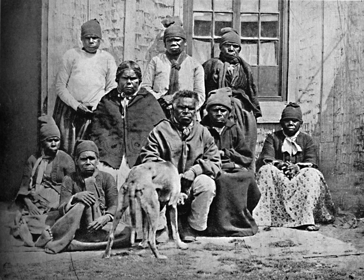 Um grupo de alguns dos últimos da Tasmânia em trajes europeus, 1902 de John Watt Beattie