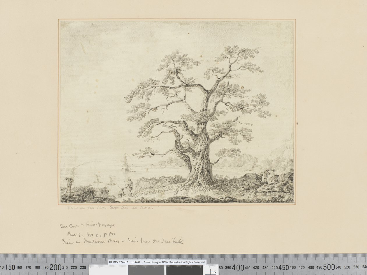 F.44 Vista da beira-mar, árvore grande no centro, c.1783-84 de John Webber