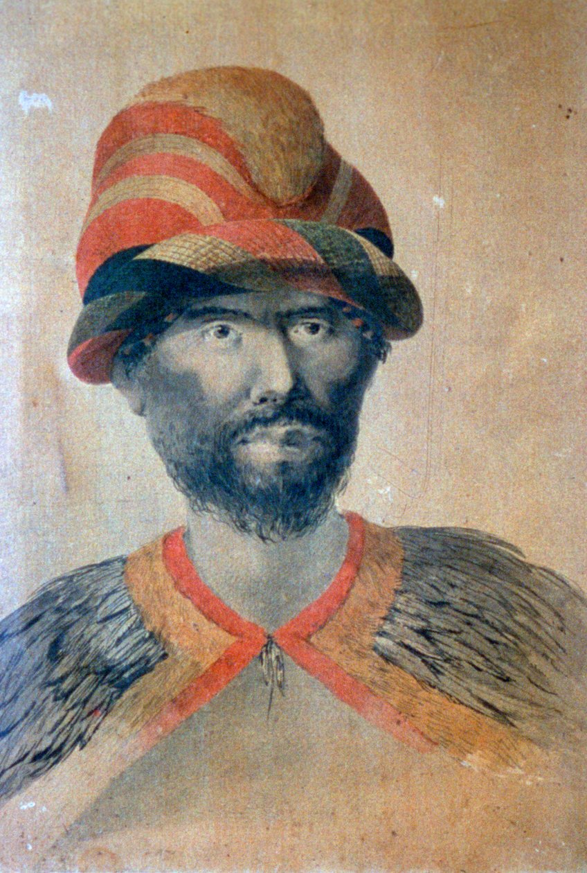 Havaiano, século XVIII de John Webber