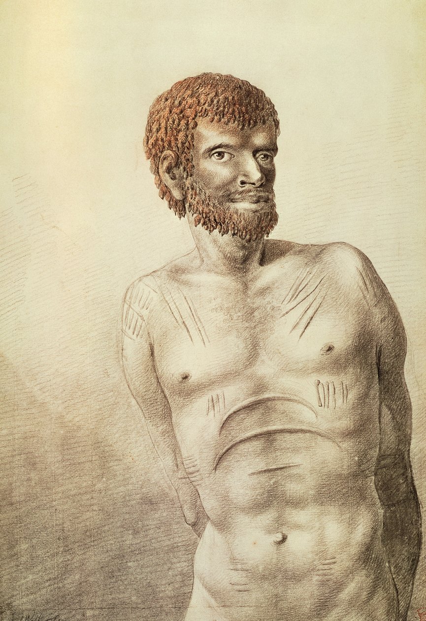 Nativo da Terra de Van Diemen, agora Tasmânia, janeiro de 1777, desenho de John Webber (1750-1793) Austrália de John Webber