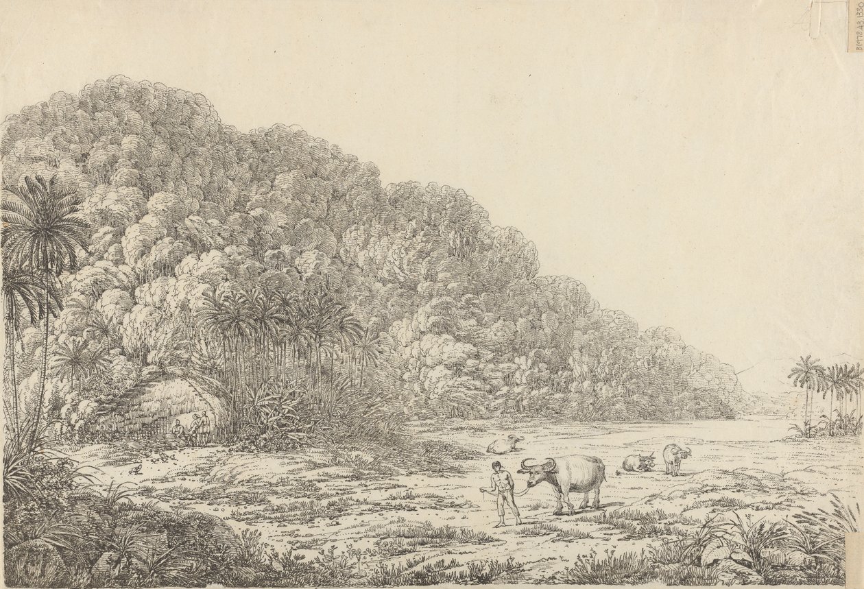 Vista na Ilha de Pulo Condore de John Webber