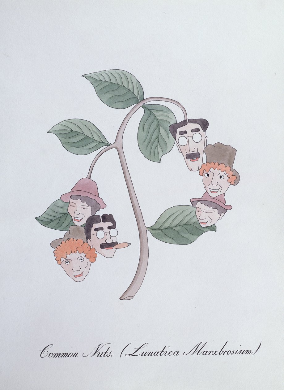 Nozes comuns. (Lunatica Marxbrosium), ilustração de 