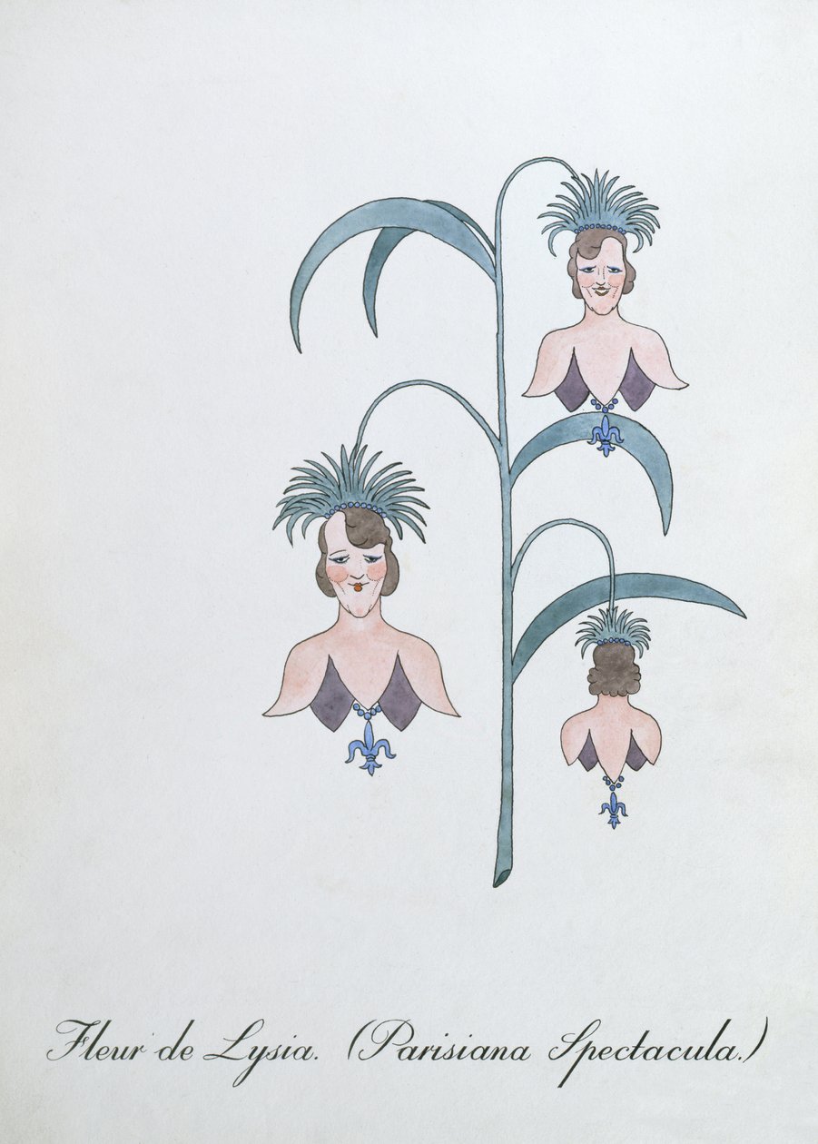 Fleur de Lysia (Parisiana Spectacula.), ilustração de 