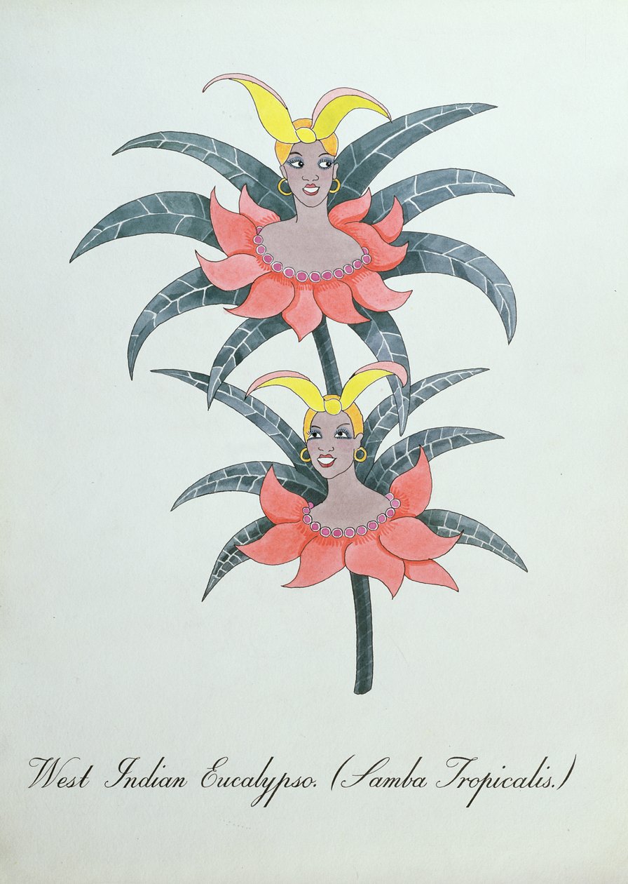 West Indian Eucalypso (Samba Tropicalis.), ilustração de 