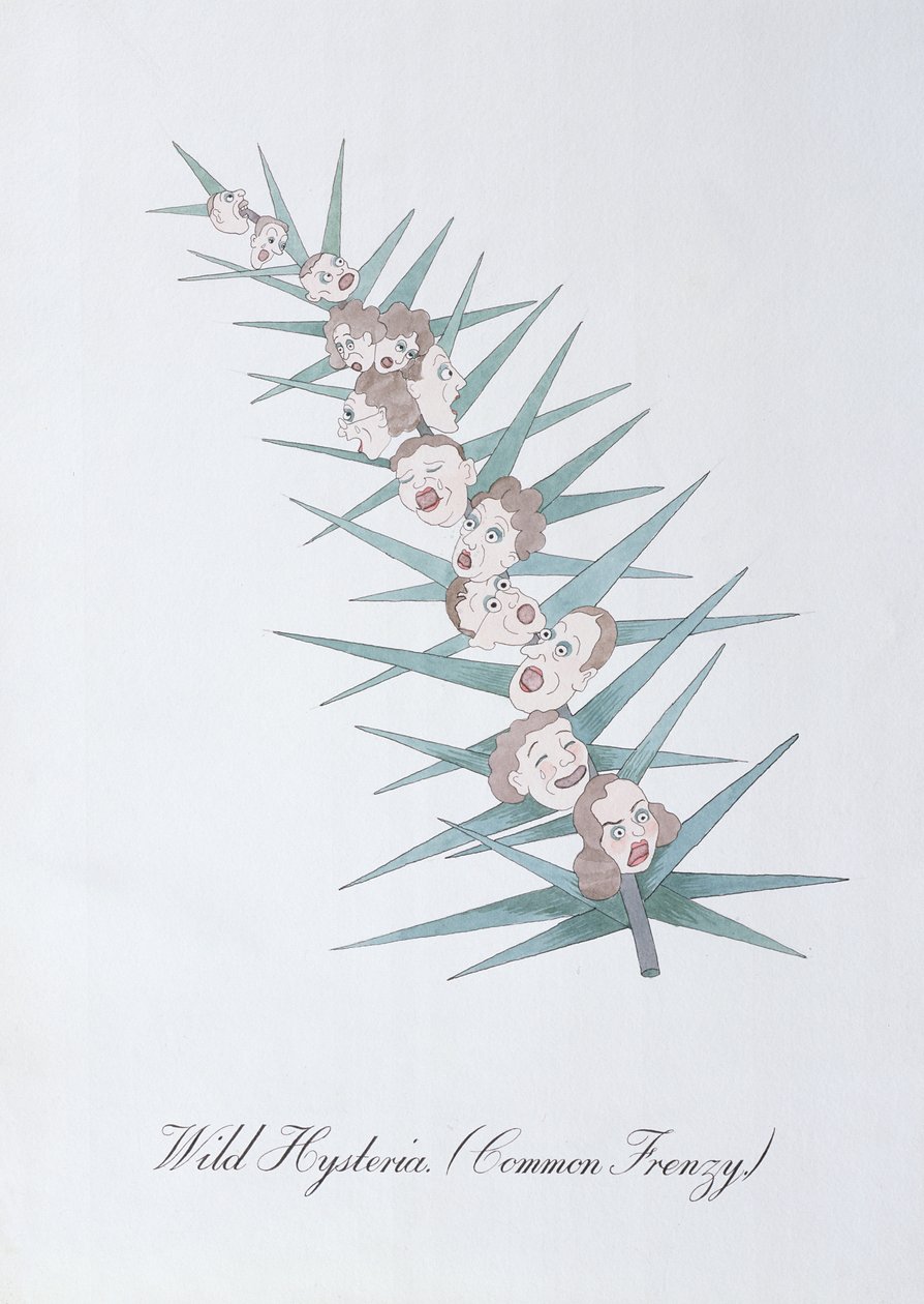 Histeria Selvagem (Frenesi Comum), ilustração de "O Livro Falso da Botânica" de John Weir de John Weir