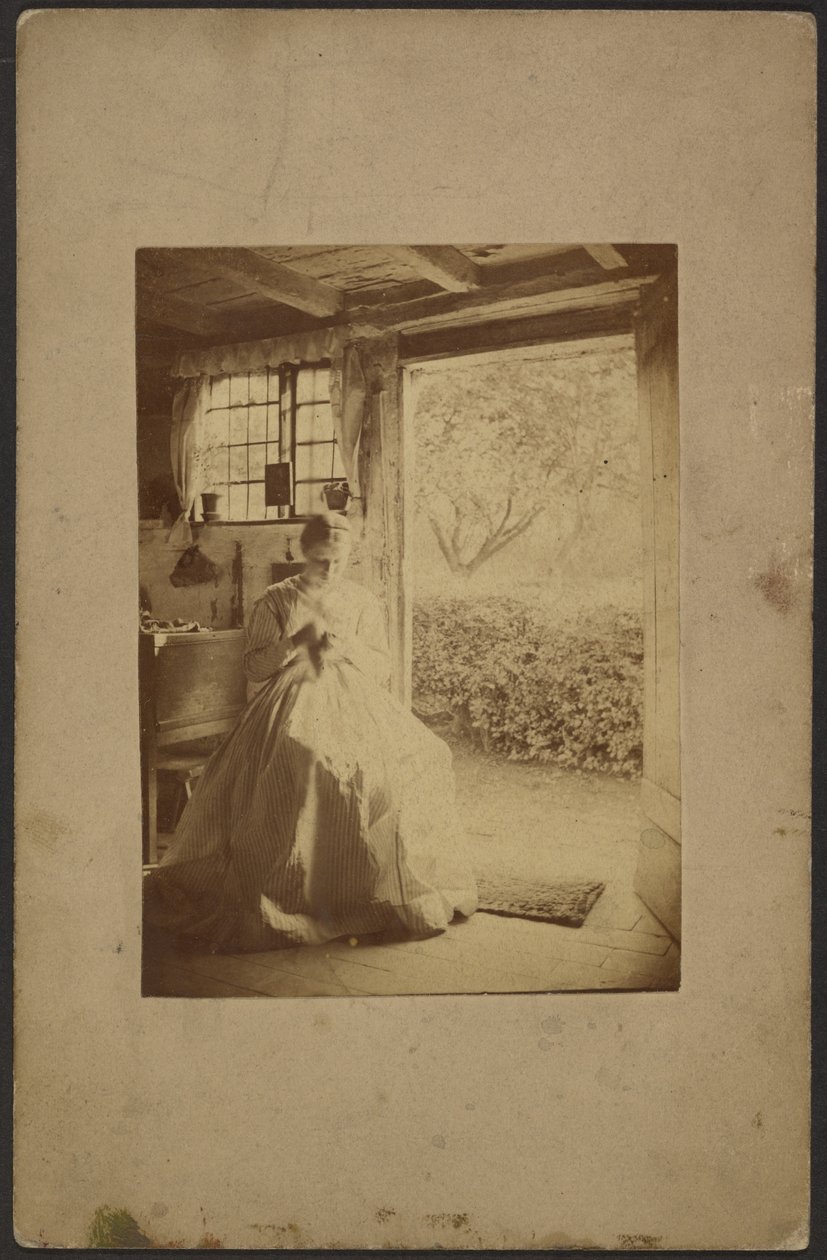 [Mulher de vestido comprido às riscas sentada no interior da sala]. de John Whistler