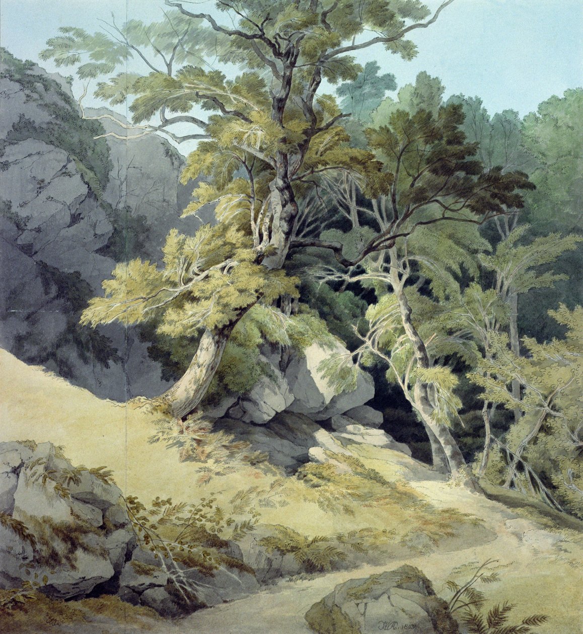 Canonteign, Devon de John White Abbott