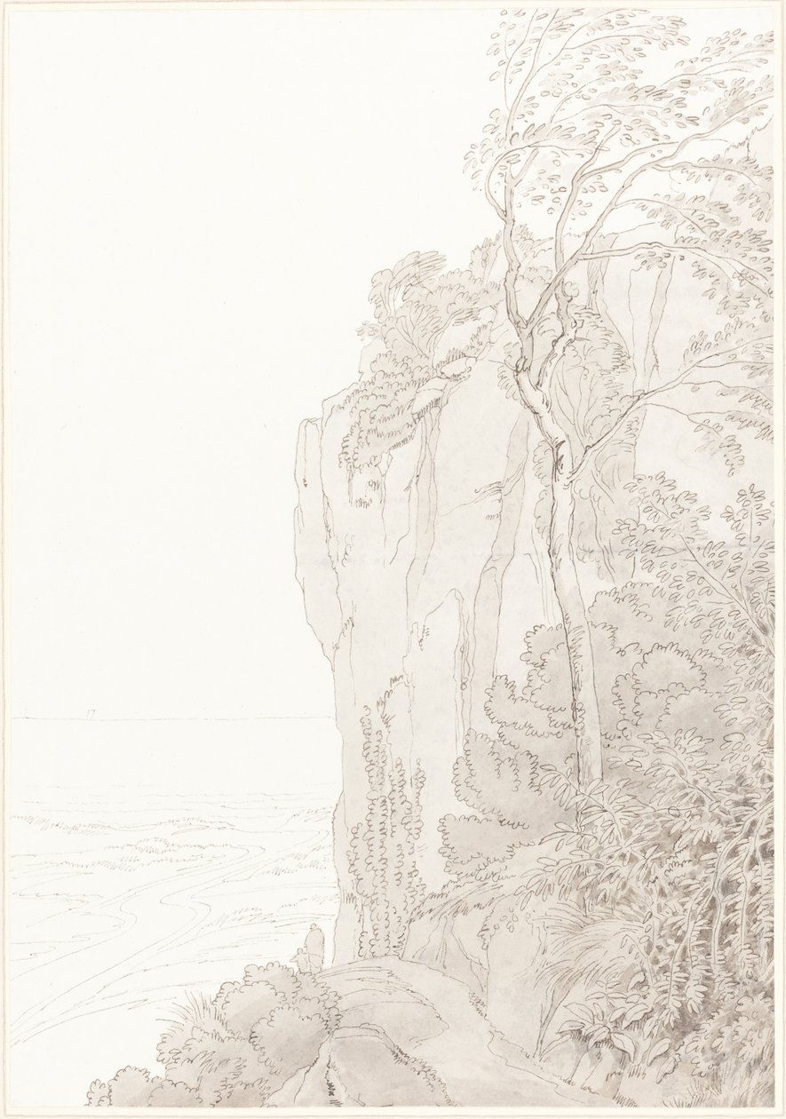 Penhascos puros acima de uma estrada costeira de John White Abbott