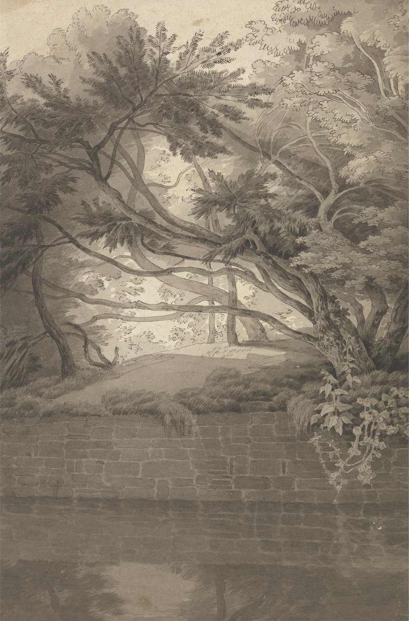 Árvores salientes de um lago de John White Abbott