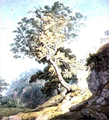 Veja perto de Canonteign, Devon de John White Abbott