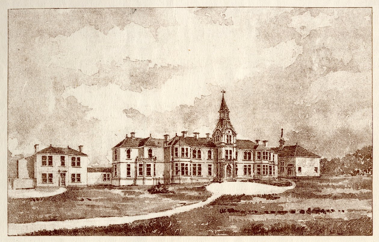O Asilo Lunático de Newcastle upon Tyne, Coxlodge, c.1829 (photolitho) de John William Dyson