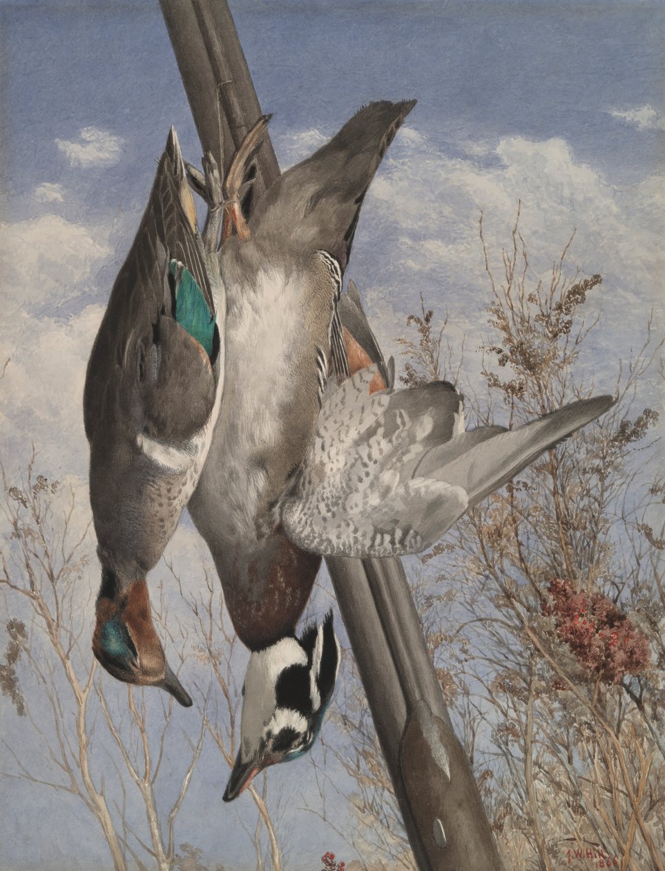Aves de caça penduradas de John William Hill