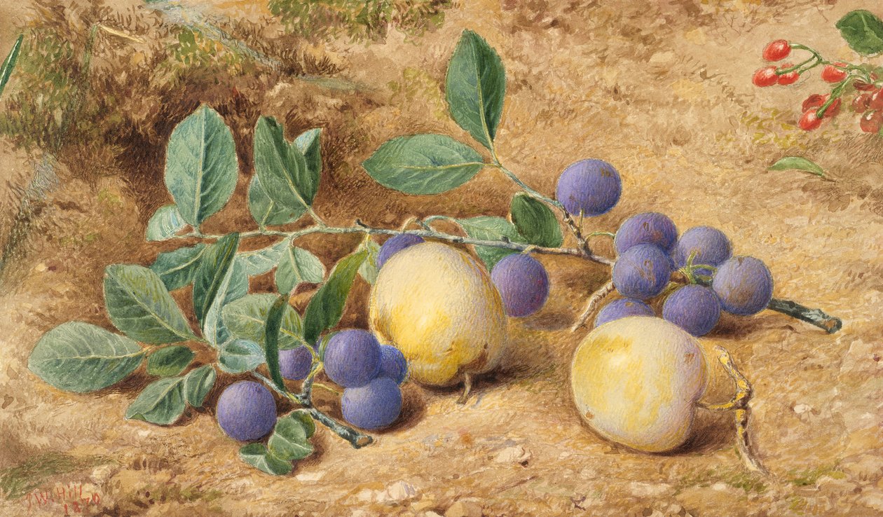 Ameixas, 1870. de John William Hill