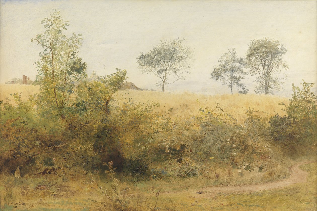 O morcego começa com asa vertiginosa - Campo de cevada sobre a cerca, 1885 (wc & lápis com arranhar no papel) de John William North