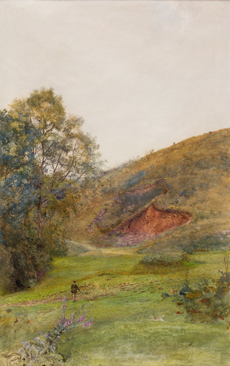 The Quantock Hills, c.1870 (aguarela sobre papel) de John William North