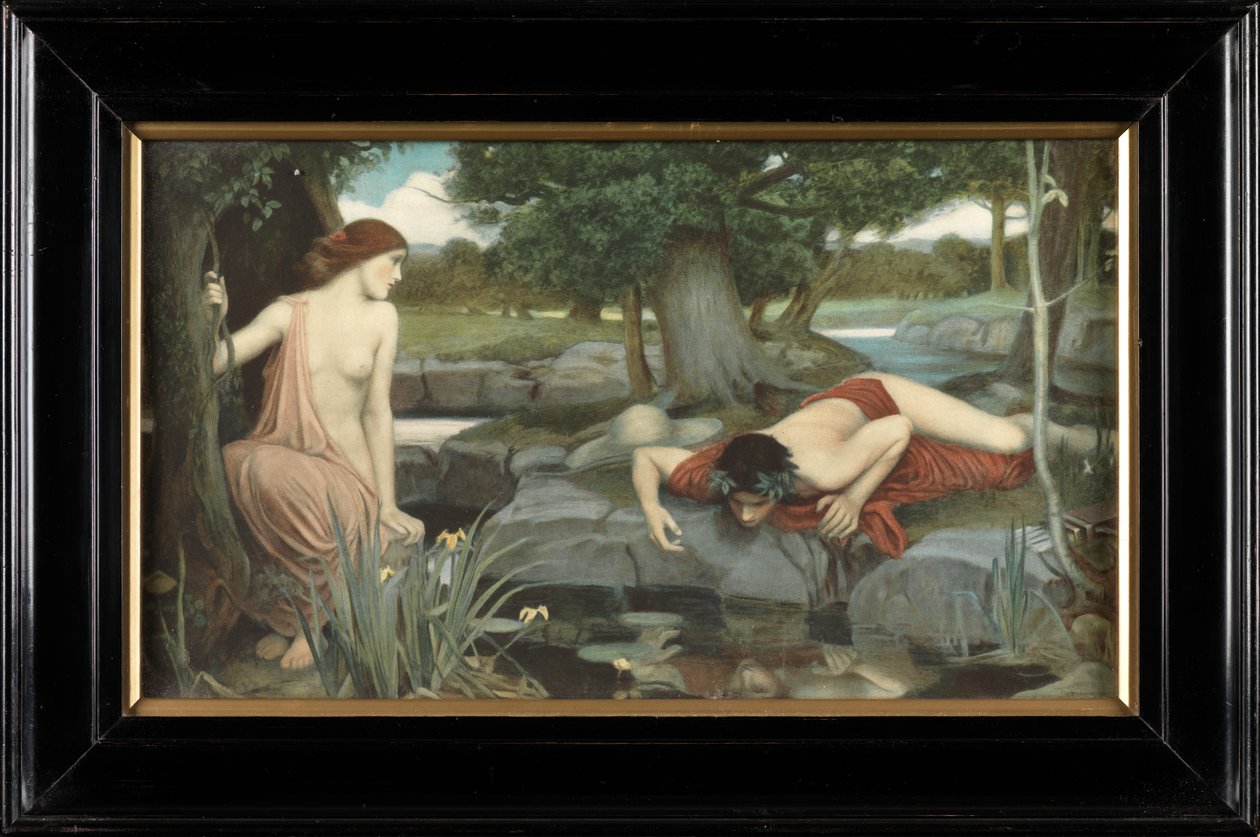 Echo and Narcissus (impressão colorida) de John William Waterhouse