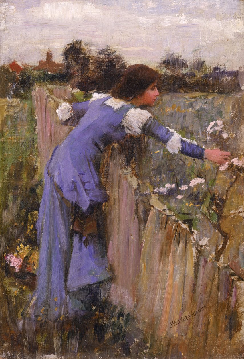 O selecionador de flores de John William Waterhouse