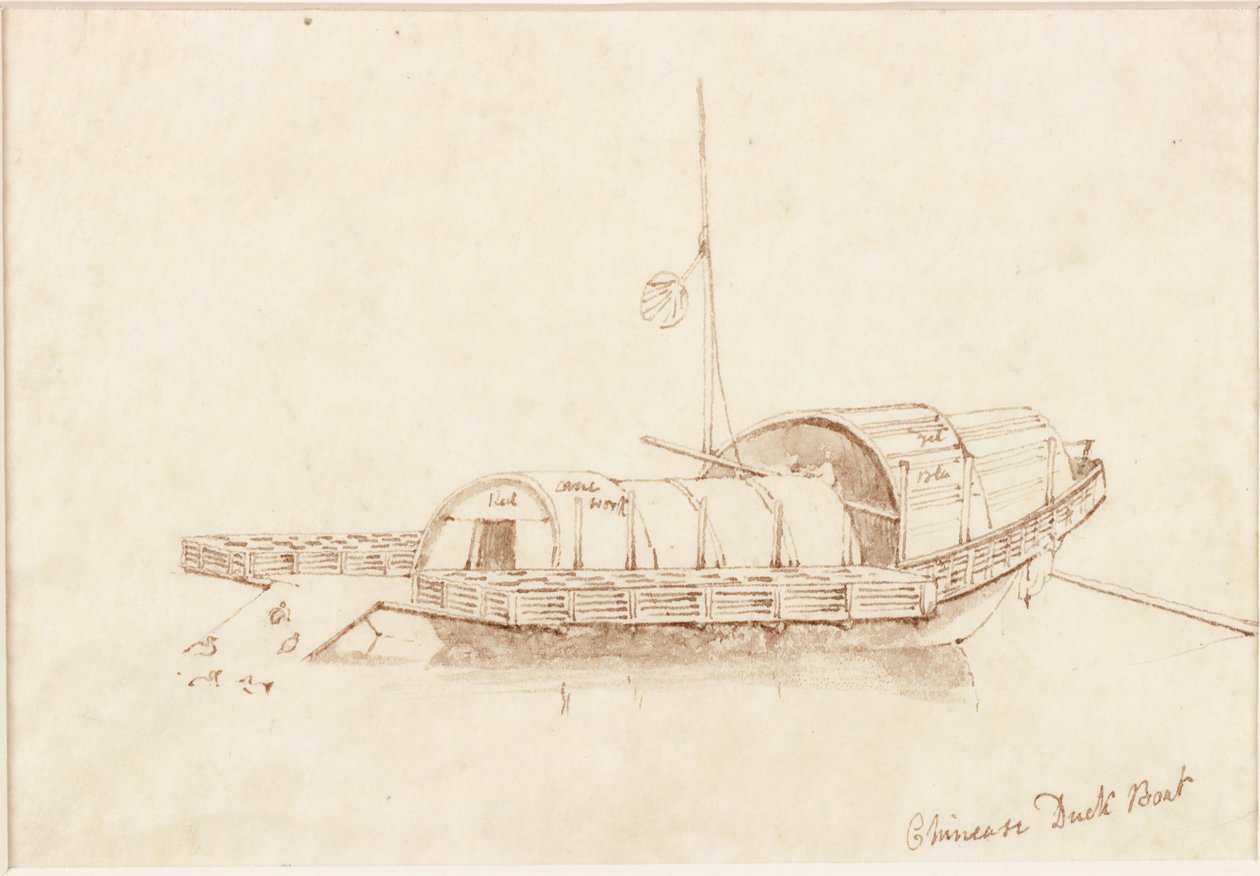 Barco de pato chinês (tinta (espiral) em papel (em papel)) de John Wilson Carmichael