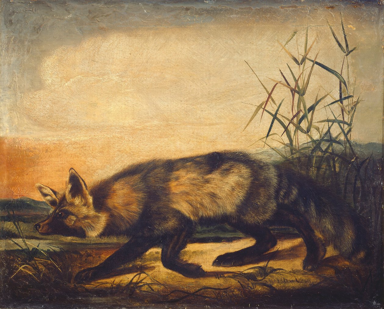 Raposa Vermelha de Cauda Longa de John Woodhouse Audubon