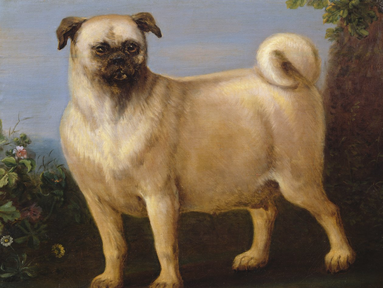 Um Pug em uma paisagem de John Wootton
