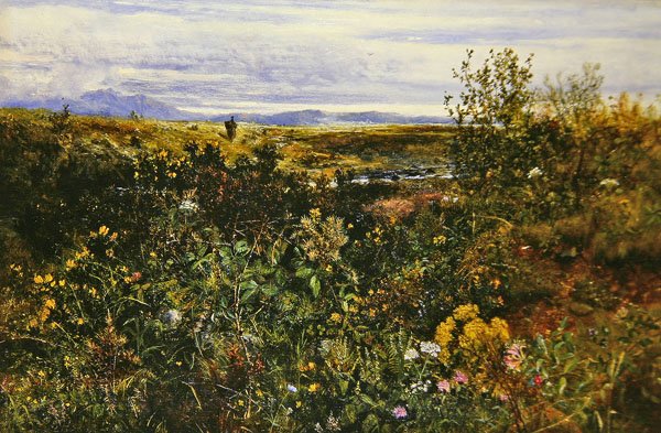 Paisagem extensiva com flores silvestres, c.1855-1860 (óleo a bordo) de John Wright Oakes