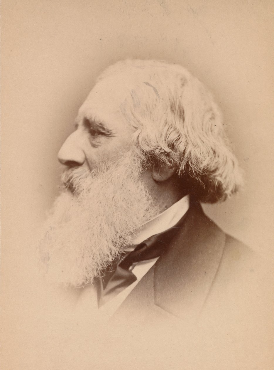 [John Frederick Lewis], década de 1860. de John and Charles Watkins