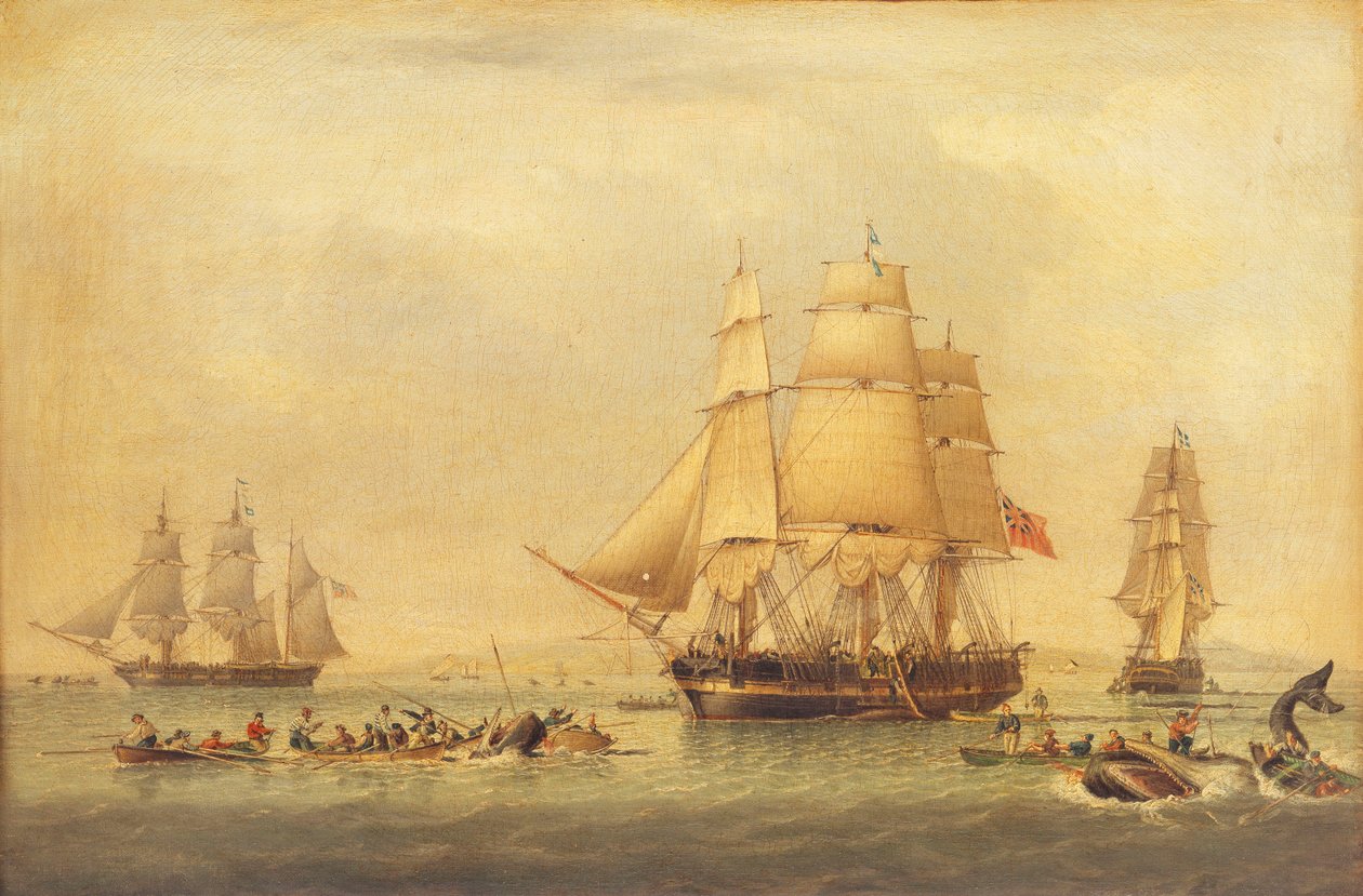 Pesca dos Baleeiros do Mar do Sul, de John of Hull Ward