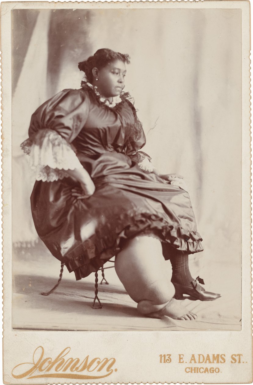 Retrato de uma mulher,c. 1890 (foto) de Johnson